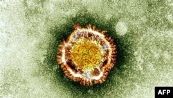 ایک برطانوی لیبارٹری کی جانب سے جاری کی گئی 'کرونا وائرس' کی تصویر