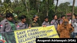 Aliansi Selamatkan Hutan Batang Toru saat melakukan aksi kampanye penyelamatan ekosistem Batang Toru dan Orangutan Tapanuli di Desa Panobasan, Kecamatan Angkola Barat, Kabupaten Tapanuli Selatan, Kamis (22/2). (FOTO: VOA/Anugrah Andriansyah)