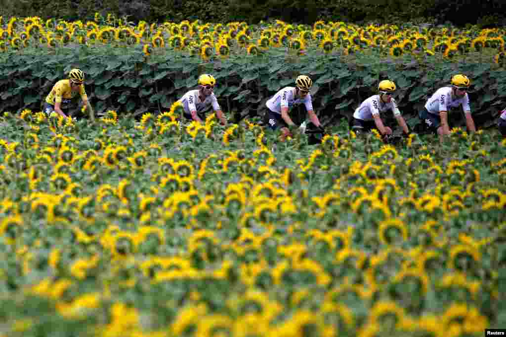 Team Sky rider Chris Froome of Britain, wearing the overall leader's yellow jersey, and other Team Sky riders cycle past during the 178-km Stage 10 of the 104th Tour de France cycling race, from Perigueux to Bergerac, France.