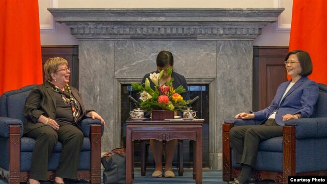 台湾总统蔡英文2018年5月会见USCC的白嘉玲（台湾总统府照片）