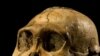 New Species Might be Human Ancestor