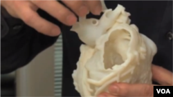 3_D Printed Tissue