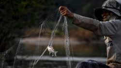 FILE- A fisherman checks his net along the Mekong River at Sangkhom district, in the northeastern Thai province of Nong Khai, on October 31, 2019. (AFP photo)