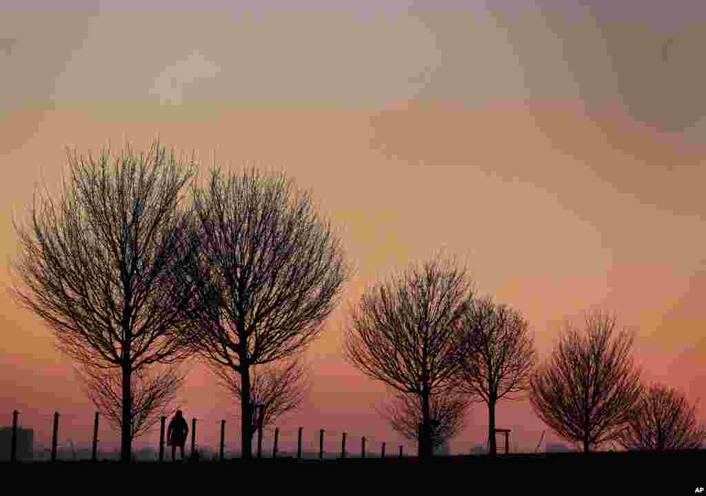 A woman walks along trees as the sun rises in Frankfurt, Germany.