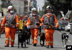 Un equipo de perros canadienses expertos en descubrir personas vivas entre escombros, llegaron a Ciudad de México este lunes con sus entrenadores para ayudar en las labores de rescate en edificios que colapsaron en el sismo del pasado 19 de septiembre en México. Sept. 25, 2017.