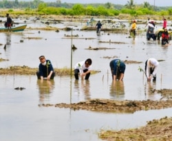 Presiden Jokowi (ketiga dari kiri) bersama para Duta Besar negara sahabat melakukan penanaman kembali mangrove di Desa Bebatu, Kalimantan Utara, pada 19 Oktober 2021. Jokowi memasang target untuk merehabilitasi sebanyak 600 hektare lahan hutan mangrove ya