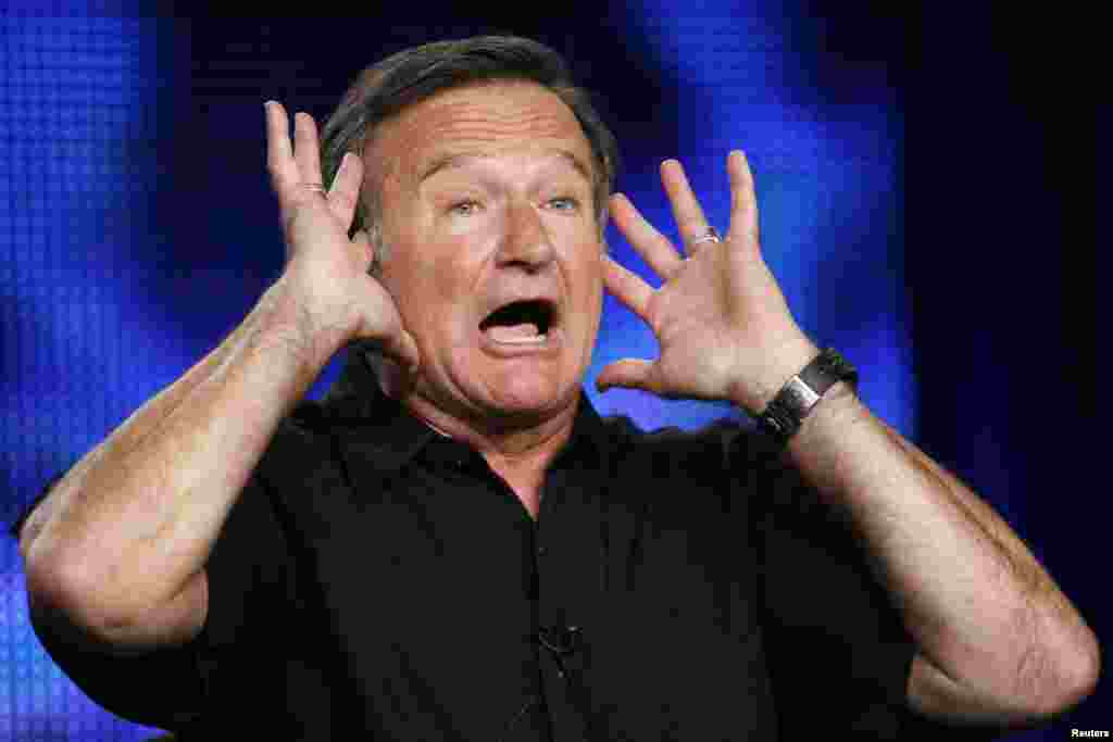 Robin Williams gestures during a panel discussion for his HBO show &quot;Robin Williams: Weapons of Self-Destruction&quot; in Pasadena, California, July 30, 2009.