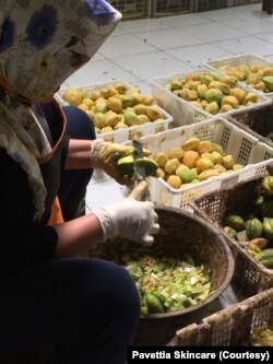 Diberdayakan untuk mengolah biji carica (Foto: Dokumentasi Pavettia Skincare)