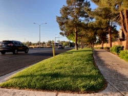 Traffic passes grassy landscape on Green Valley Parkway on Friday, April 9, 2021, in suburban Henderson, Nev. (AP Photo/Ken Ritter)