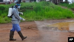 Ebola health workers spray disinfectant on a road near the home of a 17-year old boy that died from the Ebola virus on the outskirts of Monrovia, Liberia, Wednesday, July 1, 2015.