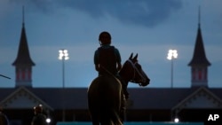A horse heads onto the track for a morning workout at Churchill Downs Friday, May 4, 2018, in Louisville, Ky. The 144th running of the Kentucky Derby is scheduled for Saturday. (AP Photo/Charlie Riedel)
