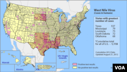 West Nile cases in U.S.