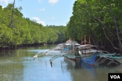 These small fishing boats carry 2-4 people when they go about a kilometer away to Ulugan Bay, which fronts the South China Sea in Bahile, Palawan province, the Philippines. (Photo: Simone Orendain for VOA)