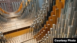 The Longwood Organ is among the world’s great concert organs, with 146 ranks and 10,010 pipes. 