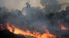 Cháy rừng Amazon: ‘Nhân tai hơn là ‘thiên tai’