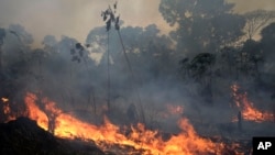 Kobaran api terlihat di sepanjang jalan menuju Hutan Nasional Jacunda, dekat kota Porto Velho, kawasan Vila Nova Samuel, bagian dari Amazon, Brazil, Senin, 26 Agustus 2019.