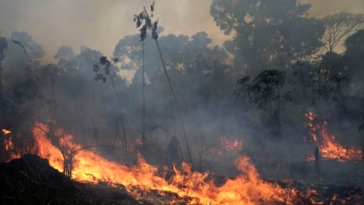 Cháy rừng Amazon ở Brazil.