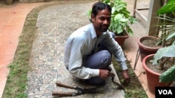 Gardener Daya Ram says his eyes sting when he comes to work every morning but has no option to working outdoors although doctors advised people to stay in as far as possible. (A. Pasricha/VOA)