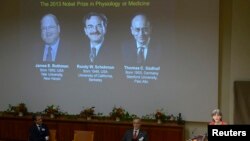 Объявляются лауреаты Нобелевской премии в области медицины. Стокгольм, Швеция. 7 октября 2013 г.