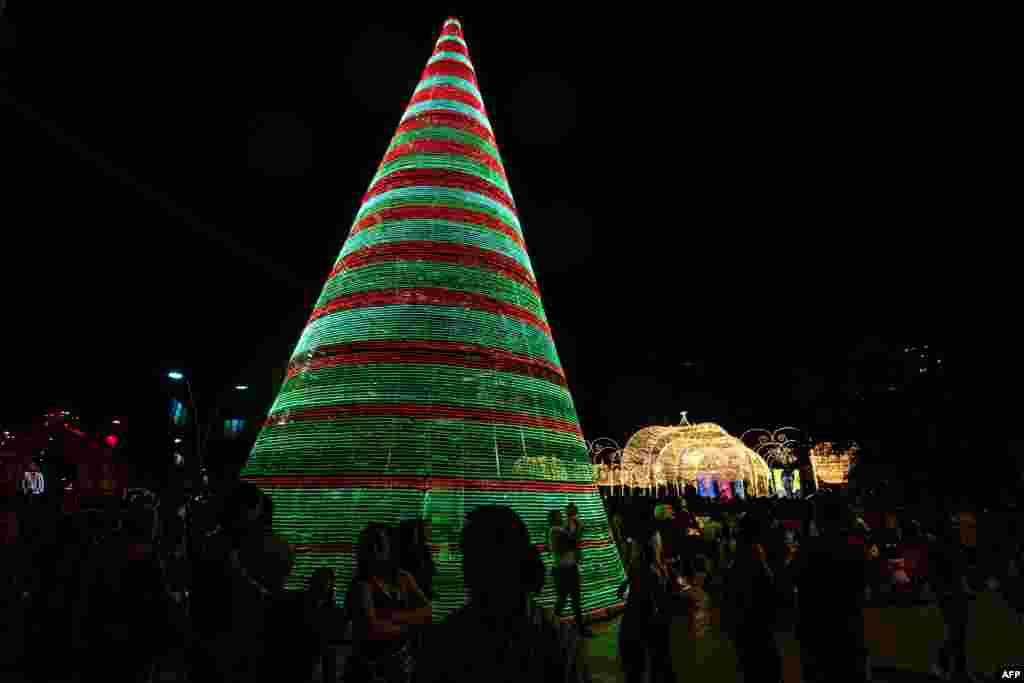 چراغانی و تزئین درخت کریسمس در کالی کلمبیا