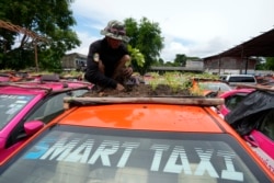 A man takes care of a rooftop garden on a taxi.