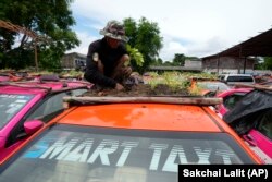 A man takes care of a rooftop garden on a taxi.