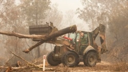 In this image released and dated on Jan. 6, 2020, from the Australian Department of Defense, plant operators Cpl. Duncan Keith and Sapper Ian Larner of the 22nd Engineer Regiment assist staff from Forestry Management Victoria.