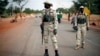 Regional Leaders Want African Troop Surge in Mali 
