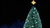 Verdaderos árboles de Navidad