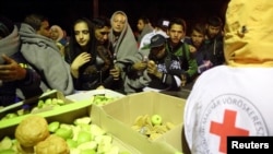 FILE - Hungarian Red Cross workers provide food for migrants walking toward the Austrian border in Hegyeshalom, Hungary, Sept. 27, 2015.