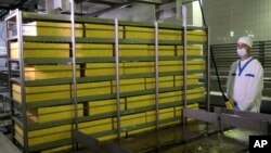 FILE - Blocks of cheese undergo an inspection at a cheese plant, in Mena, in the Chernihiv region some 210 kilometers north Kiev, June 25, 2014.
