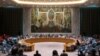 لاینز به شورای امنیت سازمان ملل: رها کردن افغان‌ها یک اشتباه تاریخی خواهد بود