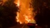 美国加州大火越烧越猛数万居民被迫撤离