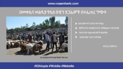 በመቀሌና ወልዲያ የኳስ ቡድን ደጋፊዎች መካከል በተፈጠረ ግጭት ከሁለቱም ወገን ሁለት ሰው ሞቷል