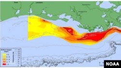 墨西哥湾含氧过低导致鱼和海洋生物死亡的所谓“死亡区”
