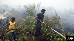 Nhân viên cứu hỏa đang dập tắt một đám cháy rừng ở Indonesia