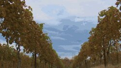 U Virginiji cvjeta proizvodnja vina