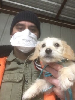 Eduard Seitan is volunteer pilot for an organization called Pilots-n-Paws. They deliver rescue animals to their forever homes.