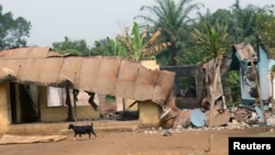 FILE - A goat walks past burned and damaged buildings in Kembong, south-west region of Cameroon, Dec. 29, 2017. 