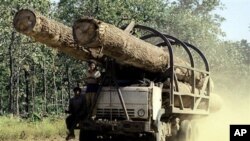 A truck carries logs on a rural road is seen in this July, 2002 photo taken in Preah Vihear province some 245 kilometers (152 miles) north of Phnom Penh.