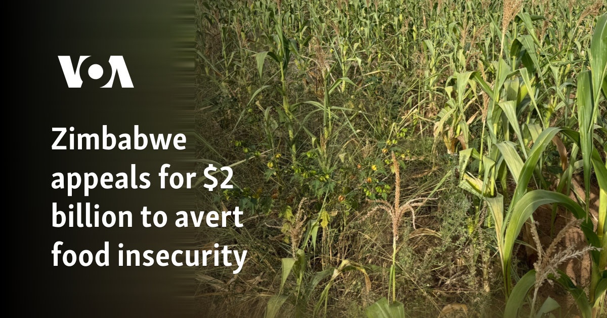 Zimbabwe appeals for  billion to avert food insecurity