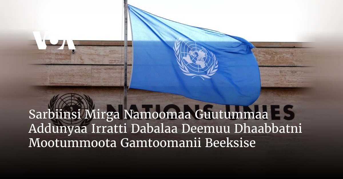 Sarbiinsi Mirga Namoomaa Guutummaa Addunyaa Irratti Dabalaa Deemuu ...