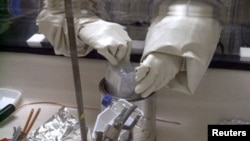 FILE - A scientist examines a package for anthrax spores.