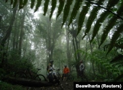 Sekelompok pengendara sepeda beristirahat i hutan hujan Gunung Burangrang di Jawa Barat, sebagai ilustrasi. Gunung di Indonesia disebut darurat sampah akibat banyaknya pendaki yang tidak bertanggung jawab. (Foto: REUTERS/Beawiharta)