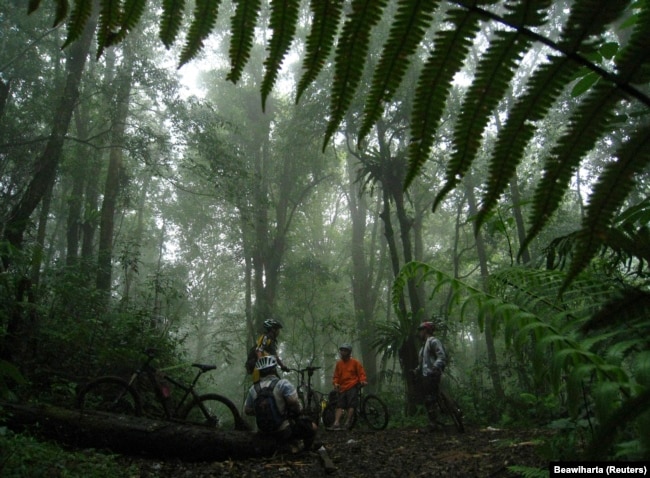 Sekelompok pengendara sepeda beristirahat selama perjalanan mereka di hutan hujan Gunung Burangrang di pinggiran Bandung, Jawa Barat. (Foto: REUTERS/Beawiharta)