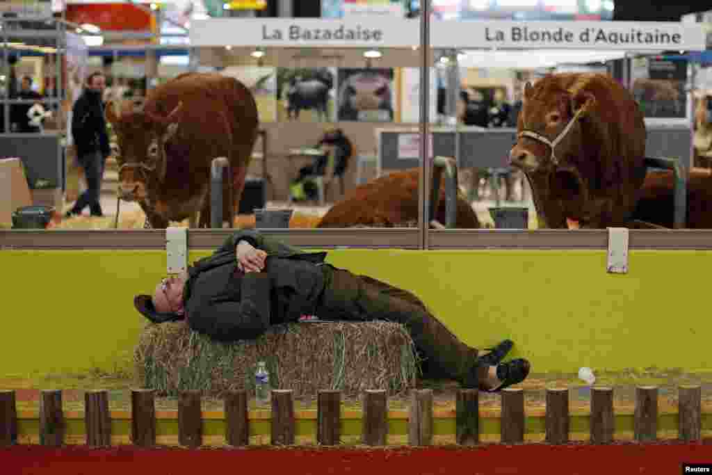 A farmer sleeps at the International Agricultural Show in Paris, France.