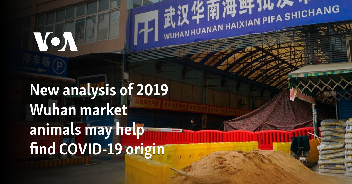 New analysis of 2019 Wuhan market animals may help find COVID-19 origin