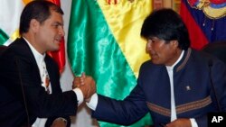 Los presidente Rafael Correa y Evo Morales dijeron que solo van a esperar hasta la asamblea de la OEA el año próximo.