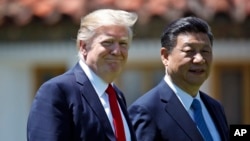 도널드 트럼프(왼쪽) 미국 대통령과 시진핑 중국 국가주석이 지난 7일 플로리다주 팜비치 마라라고 리조트에서 회담 후 함께 걷고 있다. 