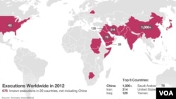 Map of executions across the world in 2012, according to Amnesty International.